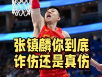 杏彩体育app-张镇麟因伤退出中国男篮集训辽宁队致谢篮协的简单介绍