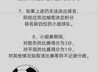 杏彩体育入口-欧预赛小组赛结束：各队谁能晋级？