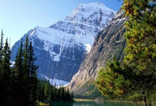 官方英超保级形势成为关注焦点