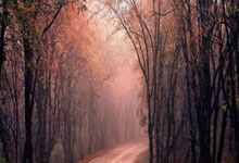 3老将留俩，王大雷回应落选国足:点名刘殿座