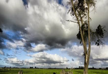 3老将留俩，王大雷回应落选国足:点名刘殿座